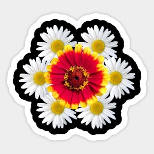 zinnia blossom daisy flower blooms flowerpattern Sticker